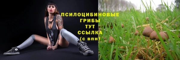 mix Богородск