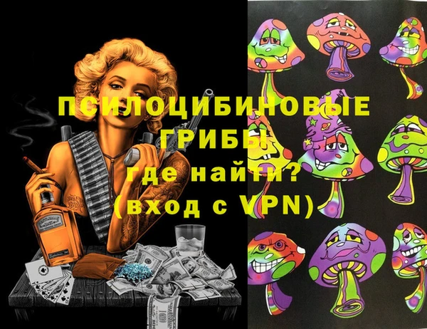 меф Богородицк