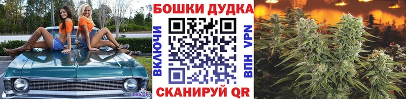 Купить закладки  Апрелевка  Бошки марихуана ГИДРОПОН 